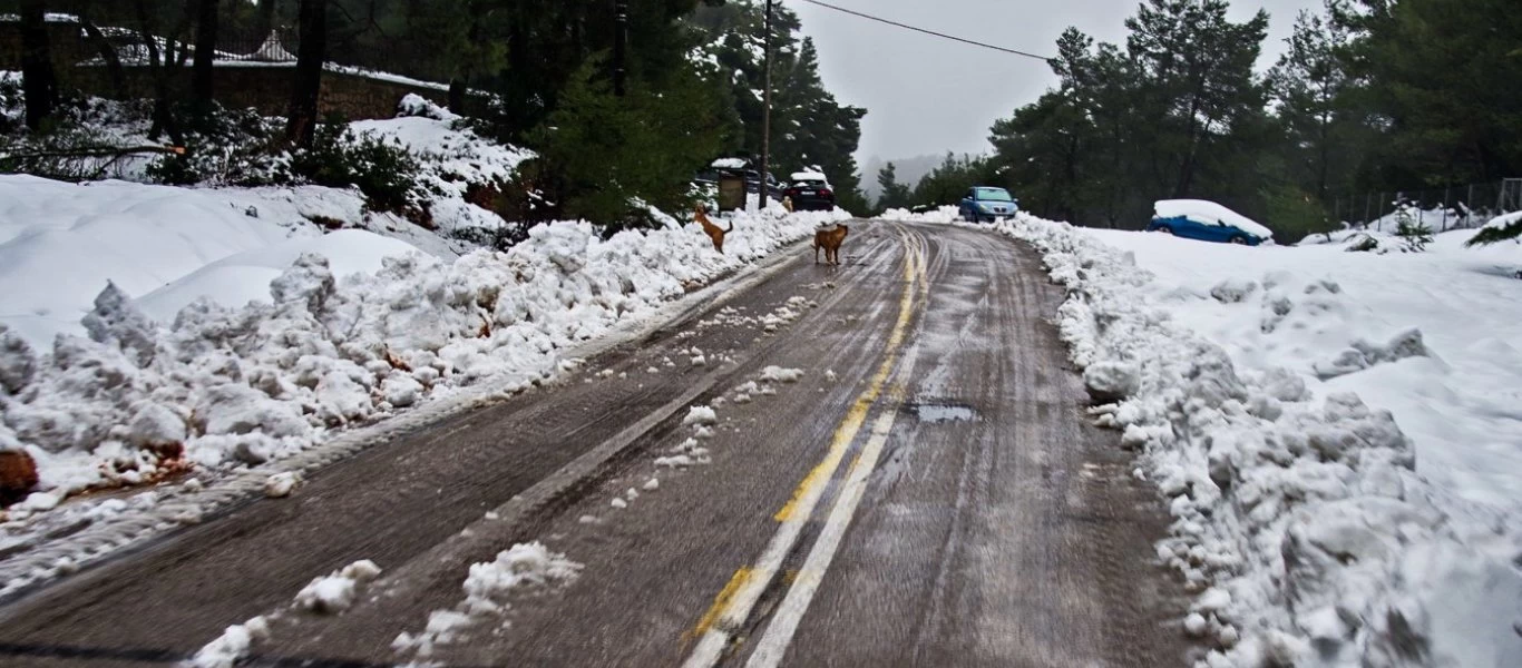 Πέφτουν χιόνια στην Ήπειρο - Έφτασε το μισό μέτρο στο Δίστρατο